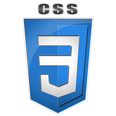 CSS Logo