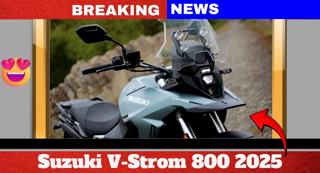 Suzuki V-Strom 800